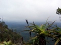 100_3299.jpg