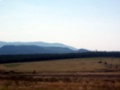 100_3308.jpg