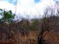100_3318.jpg