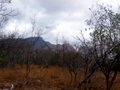 100_3320.jpg