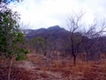 100_3321.jpg