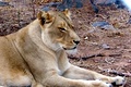 100_3350.jpg