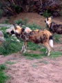 100_3361.jpg
