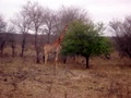 100_3373.jpg