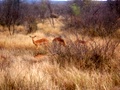100_3376.jpg