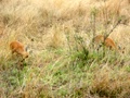 100_3385.jpg