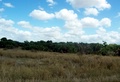 100_3401.jpg