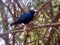 100_3405.jpg