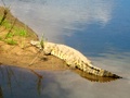 100_3422.jpg