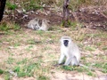 100_3430.jpg