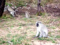 100_3431.jpg