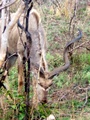 100_3435.jpg