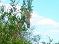 100_3436.jpg