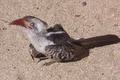 100_3439.jpg