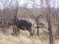 100_3443.jpg