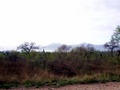 100_3454.jpg