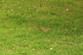 100_3460.jpg