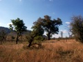 100_3467.jpg
