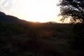 100_3469.jpg