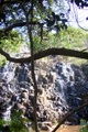 100_3501.jpg