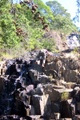 100_3506.jpg