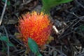 100_3511.jpg