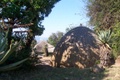 100_3514.jpg