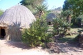 100_3517.jpg