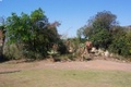 100_3518.jpg