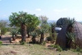 100_3559.jpg