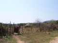 100_3568.jpg