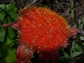 100_3573.jpg