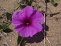 100_3576.jpg