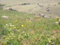 100_3577.jpg
