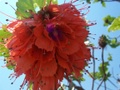 100_3579.jpg