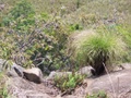 100_3582.jpg
