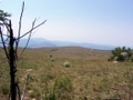 100_3583.jpg