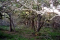 100_3597.jpg
