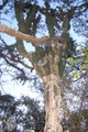 100_3613.jpg