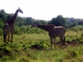 100_3627.jpg
