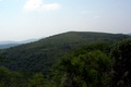 100_3630.jpg