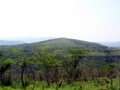 100_3631.jpg