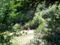 100_3642.jpg