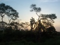 100_3672.jpg