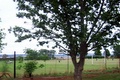 100_3695.jpg