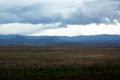 100_3698.jpg