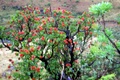 100_3705.jpg