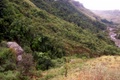 100_3710.jpg