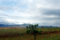 100_3728.jpg
