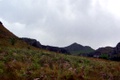 100_3732.jpg